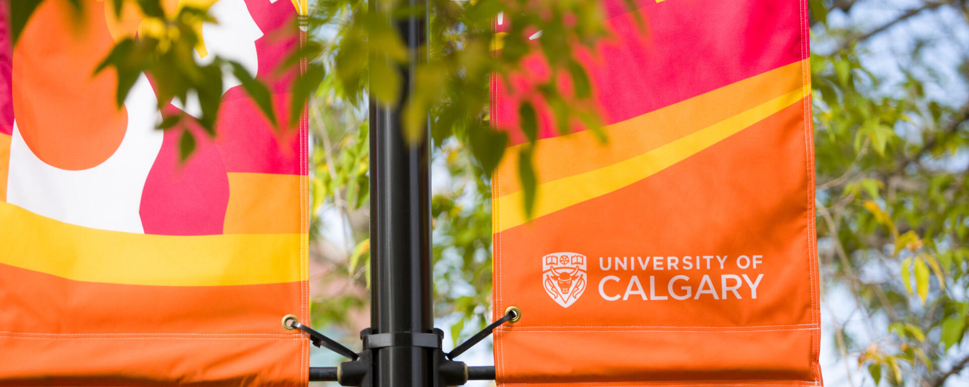 UC