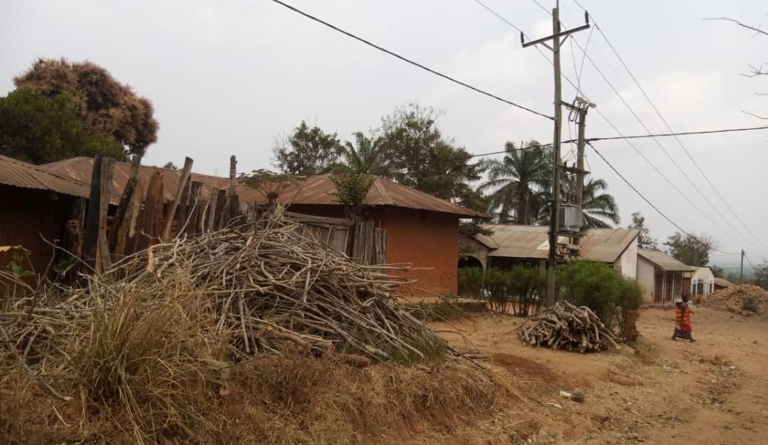 Firewood piled under electrical lines 